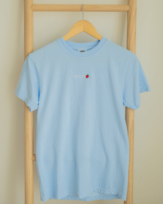 Abide Tee